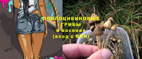 таблы Алзамай